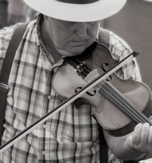 AUDIOLANDER BANJO VERSUS FIDDLE(5).jpg