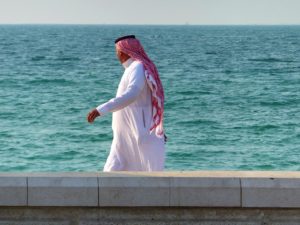 AUDIOLANDER MUSIC FOR VIDEOS ARABIAN SEA(1).jpg